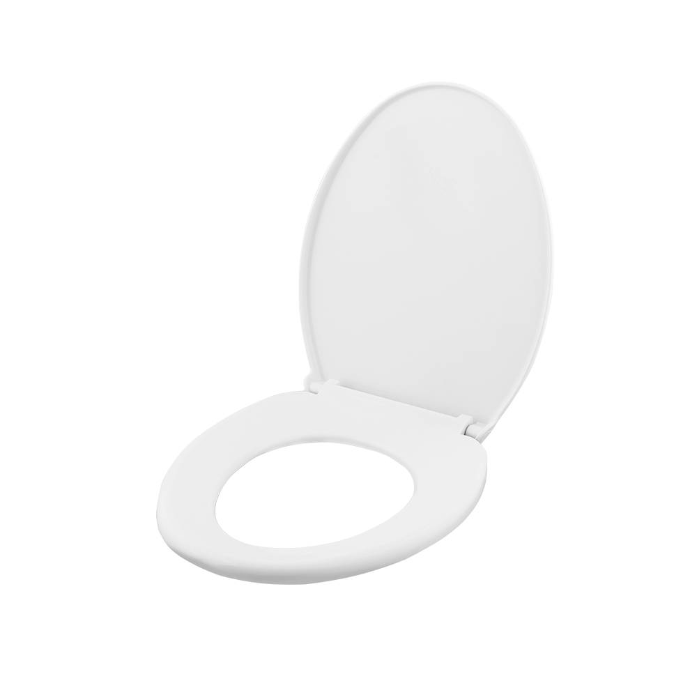 Sheen Standard - Image 4