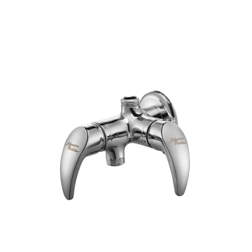 Twin Angle Valve