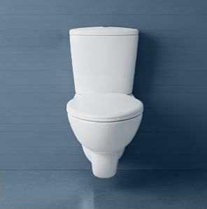 Wall Hung With Cistern
